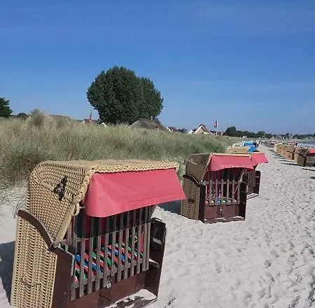 Strandschnecke 1 * シャルボイツ