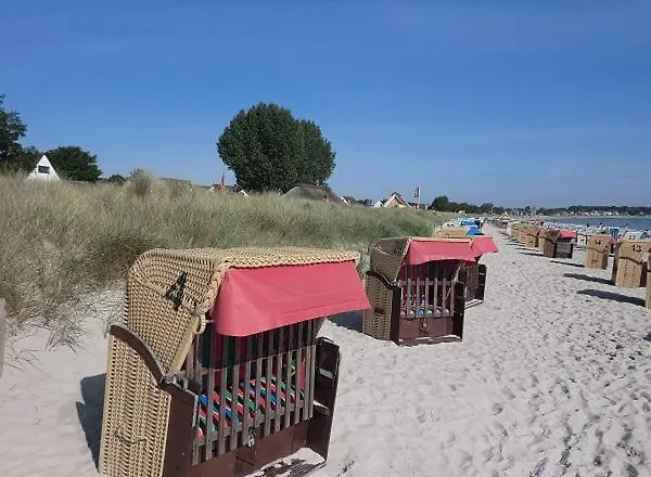 Strandschnecke 1 * Scharbeutz